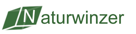 Einseiter Logo